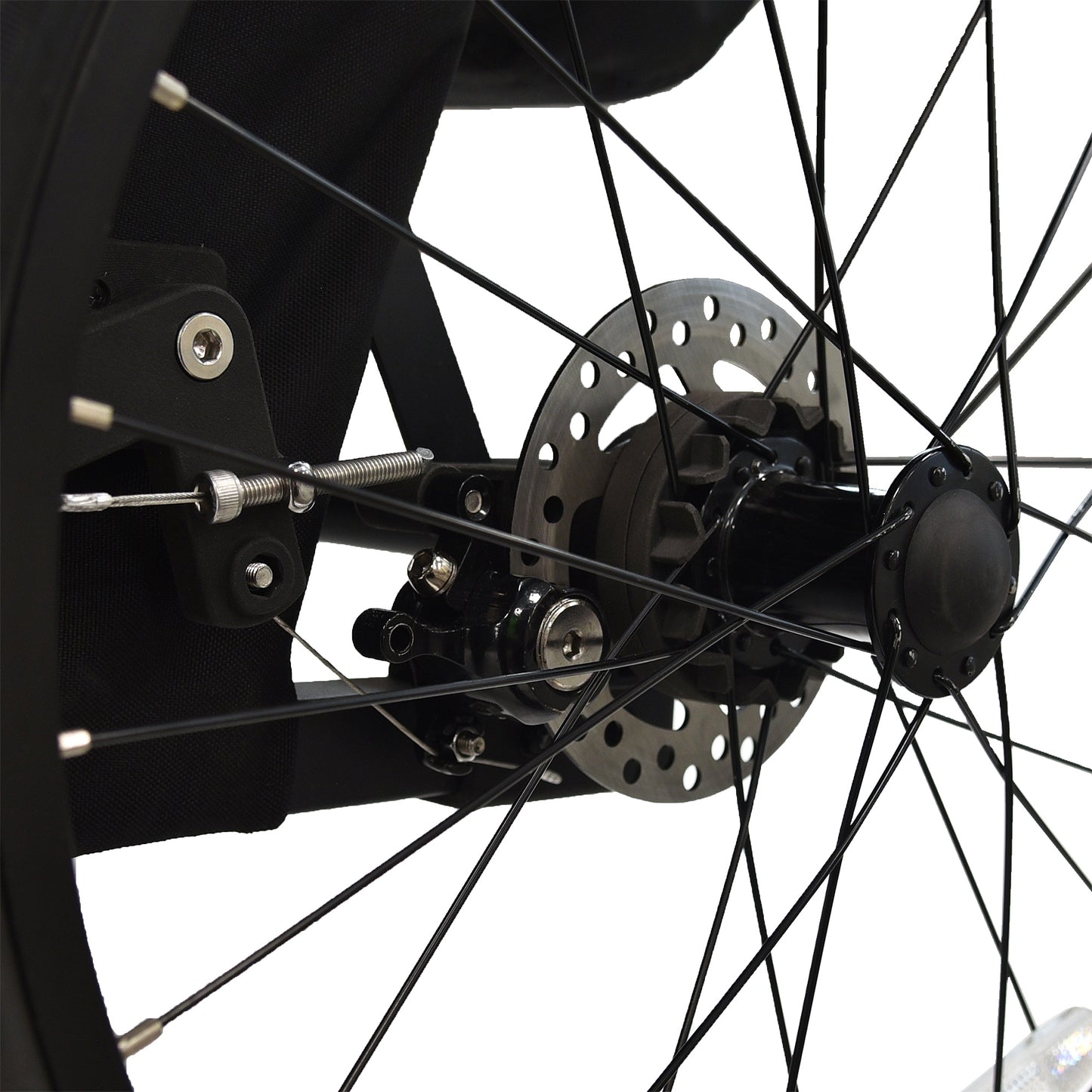 Wike Special Needs Extra Large Bike Trailer