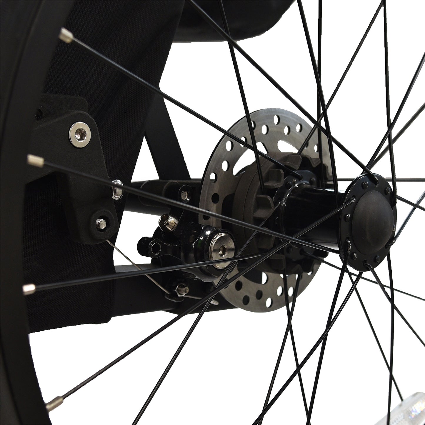 Wike Special Needs Extra Large Bike Trailer